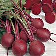 Свёкла столовая Экшен F1
